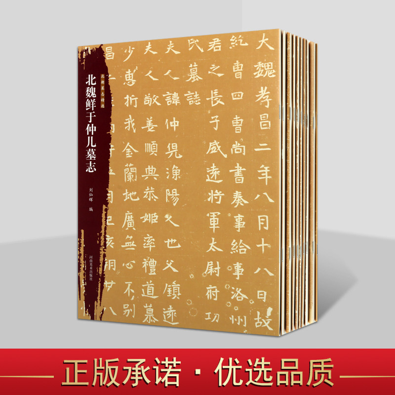 北朝墓志精选(全套10册)北魏楷书范本书法魏碑帖经典字帖临摹元桢元略刁遵穆亮寇臻石婉元贵妃张玄鲜于仲儿墓志【赠宣纸原大拓片】