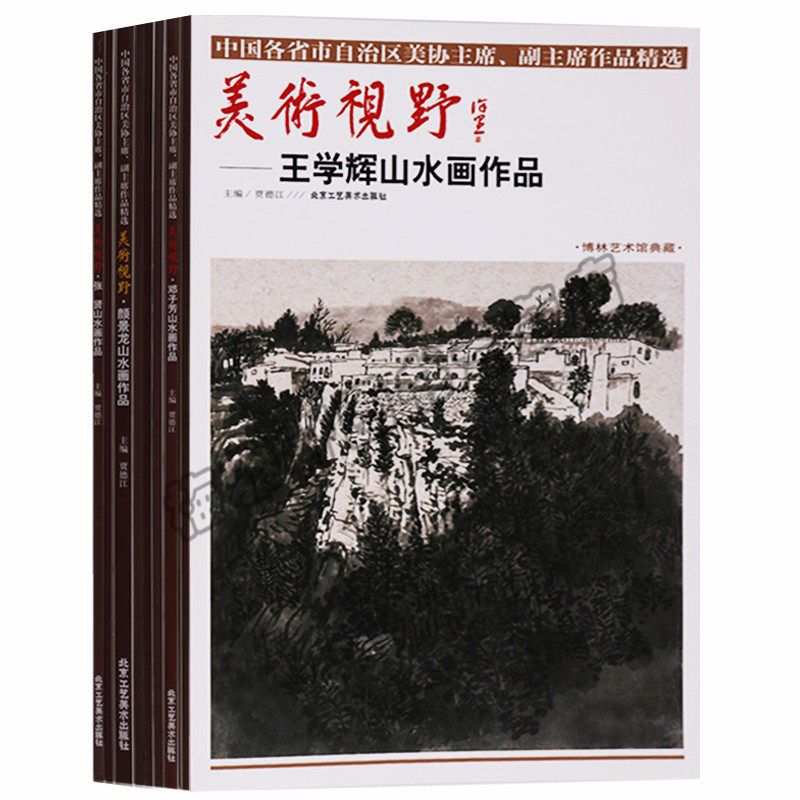 正版 美术视野 山水画部分 中国各省市自治区美协主席 副主席作品精选（共八册）邓子芳山水画作品 丁力山水画北京工艺美术图书
