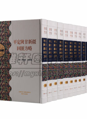 正版 新疆文库 乙部 （共十三卷）平定陕甘新疆回匪方略 历史 地方史志 民族史志 新疆文化出版社图书