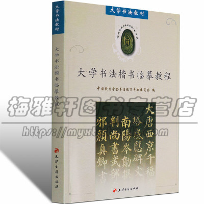 正版 大学书法楷书临摹教程 大中专本科院校书法美术专业专用初学者楷书毛笔字帖临习解析入门基础技法知识教材教科中国技法书籍