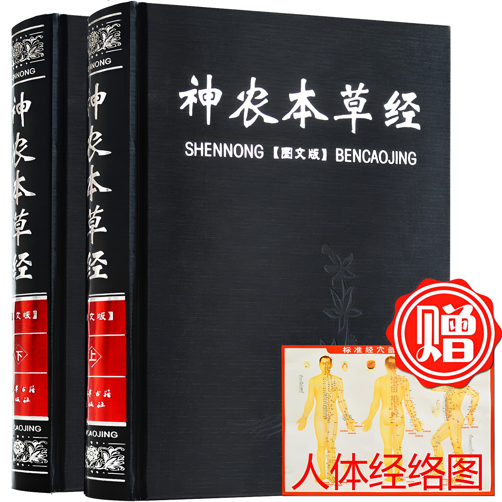 正版神农本草经中医基础理论四大名著之一方剂学汤头歌诀正版古籍中药药材植物草药书图解大全识别鉴别书籍精装全套2册