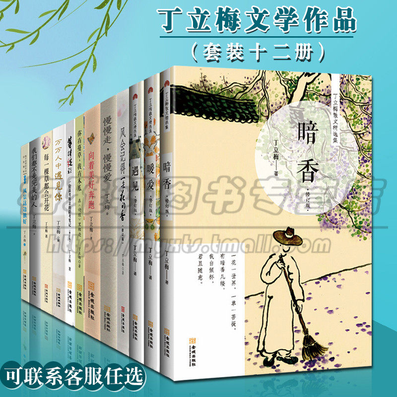 正版 丁立梅的散文精选读文学作品集全套12册 暗香 暖爱 遇见 风会记得一朵花香 向着美好奔跑 等待绽放图书