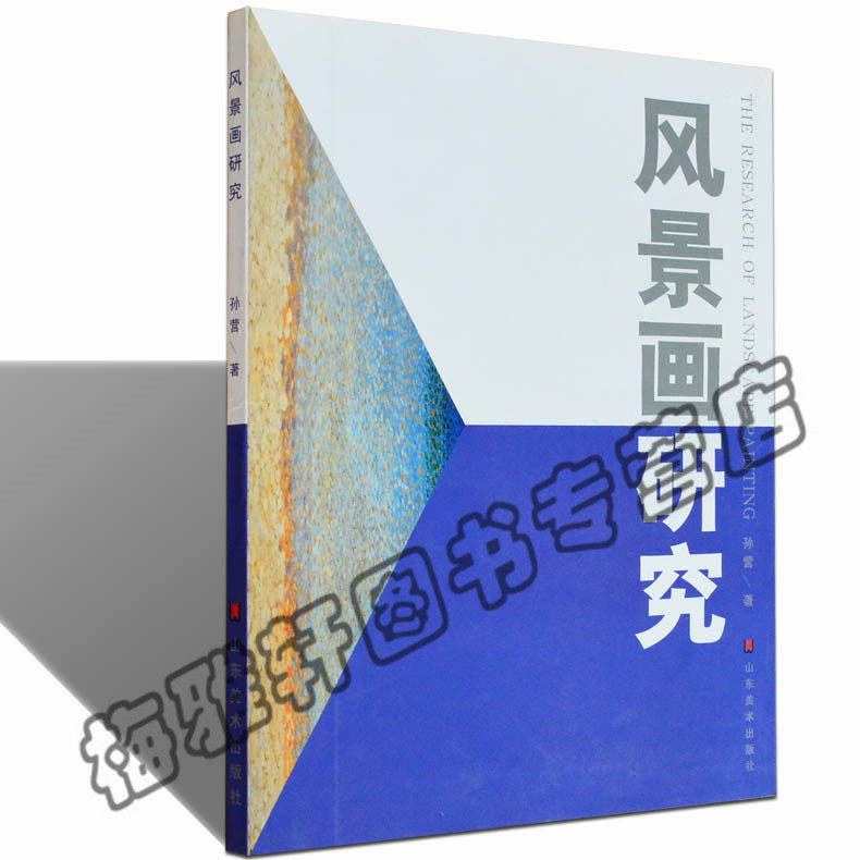 正版 风景画研究 孙营 零基础自学初学者风景画教程的书油画风景书