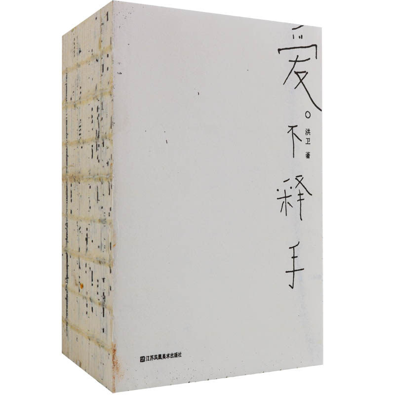 正版 爱不释手 洪卫 设计师手绘手稿设计理论思路研究 各种设计大赛