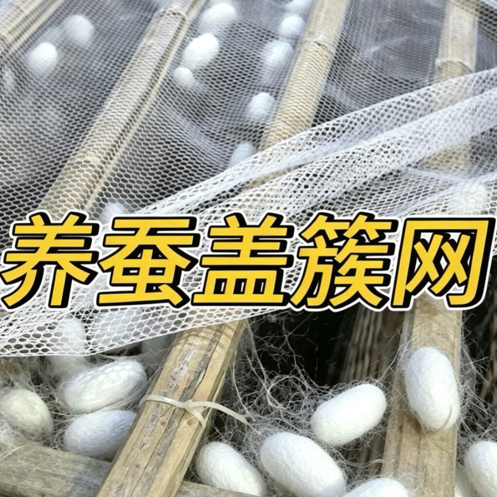 2.8米宽上簇盖网钉钉簇方格簇结茧网盖提青养蚕专用网蚕网