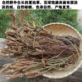 全棵夏枯草农家采摘无硫夏枯球自然晾晒牛抵头夏枯草500g带根发货