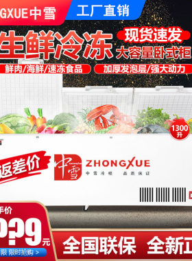 中雪单温茶叶鲜肉柜冷冻柜大容量