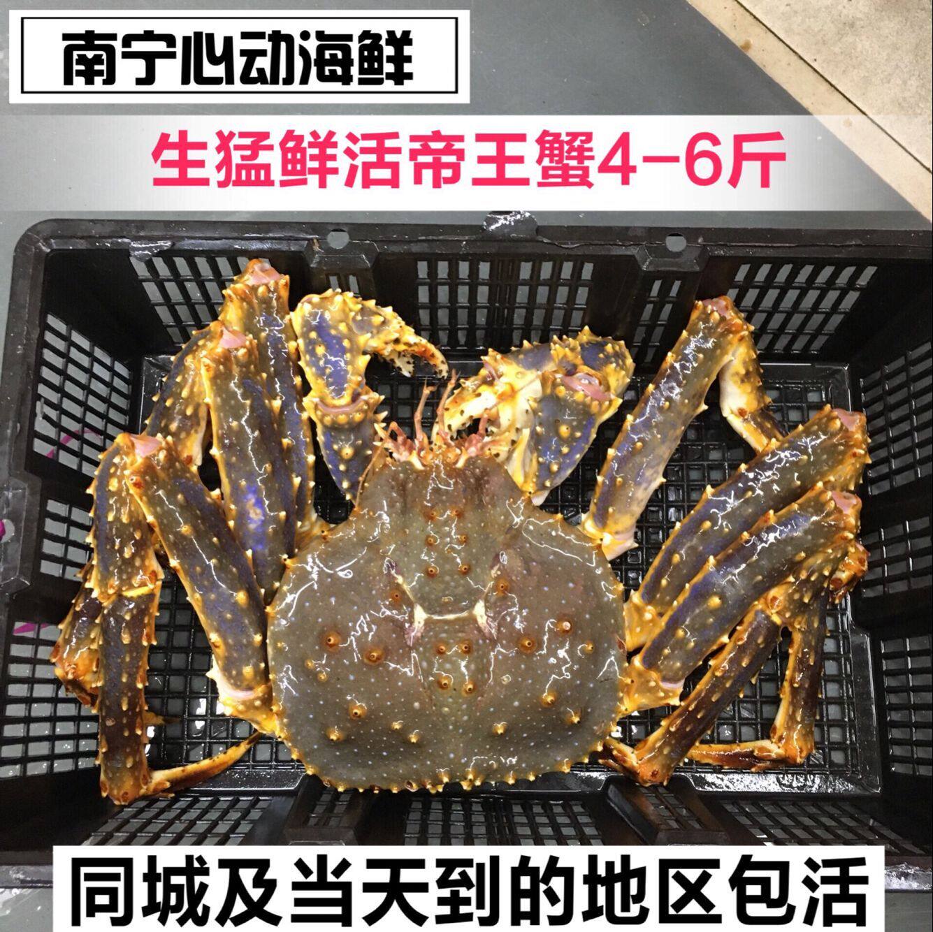 南宁心动海鲜 生猛鲜活阿拉斯加 帝王蟹有4~6斤以上