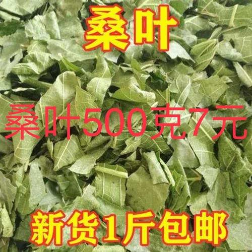 中药正宗桑叶霜后桑叶新货无硫桑叶新鲜桑叶泡茶滋规格包邮