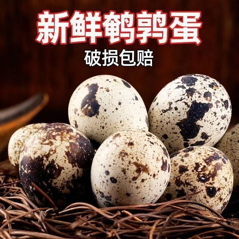 42枚生鹌鹑蛋新鲜批发散养喂养杂粮农家鹌鹑蛋带壳新鲜生鹌鹑蛋