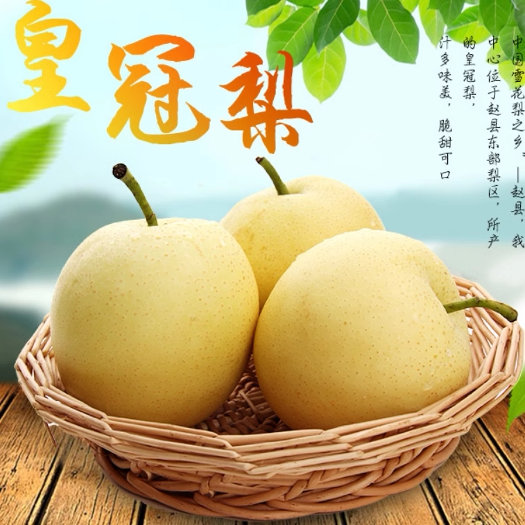新鲜河北皇冠梨现摘整箱批发正宗精品当季非雪梨水果