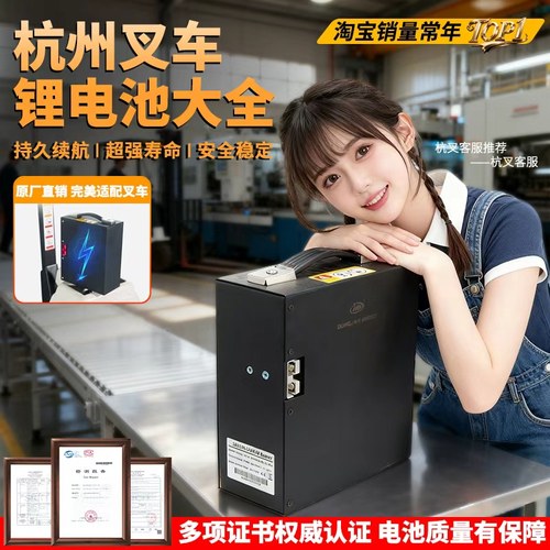 杭叉叉车48V10A15A电池配件大全