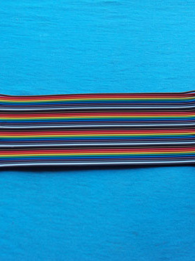 40P杜邦公头转公头 双头1P胶壳 12股彩排线 转接线 面包线 长20CM