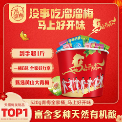 溜溜梅马上好开味全家桶大礼包