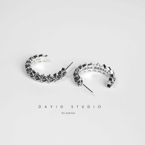 david欧美925纯银情侣