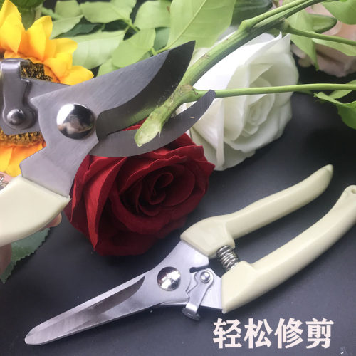修枝剪摘果剪粗枝剪盆景花卉园艺