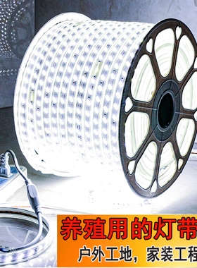 养殖led灯带220v36v户外工程地下室3030-120灯弧面防水超亮白光