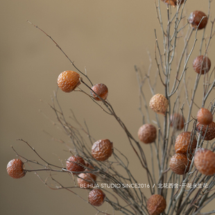 天然干果干树枝插花装饰民宿枯木枝造景柿柿如意果实玄关诧寂摆设