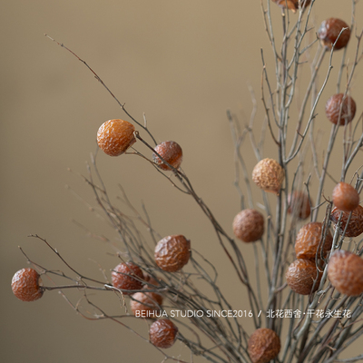 天然干果干树枝插花玄关诧寂摆设
