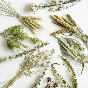自然绿色干花组合小清新家居摆设春天夏天花束装饰花艺真树叶拍摄