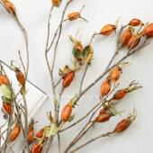 栀子果干花真花束树枝摆件秋冬季 居家装 饰高级感诧寂插花搭配花材
