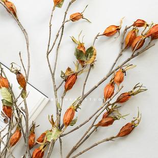 栀子果干花真花束树枝摆件秋冬季居家装饰高级感诧寂插花搭配花材