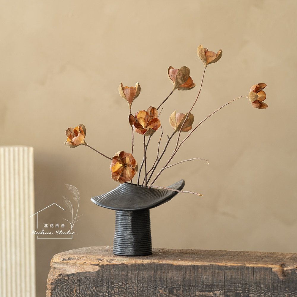 秋季果实干花中南美进口特费玫干树枝哥伦比亚弯子木玄关诧寂摆件,家居饰品,仿真花/假花,淘宝优惠券,粉丝福利购,淘宝优惠卷