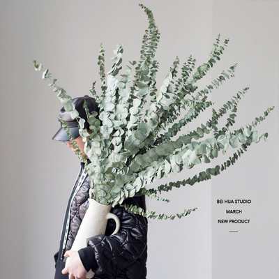 尤加利叶干花干树枝花束ins客厅