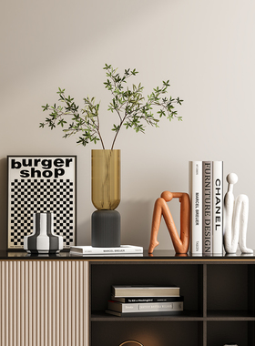 现代极简艺术高级感玄关柜软装摆件客厅悬空电视柜桌面绿植装饰品