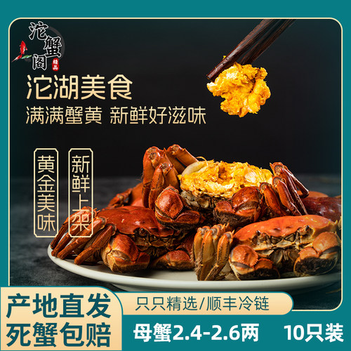 沱蟹阁五河沱湖螃蟹现货鲜活纯母2.4-2.6两大闸蟹礼盒装十只全母