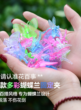 蝴蝶兰夹子大号专用透明固定支撑杆小夹子绿色蜻蜓紫白色装饰夹子