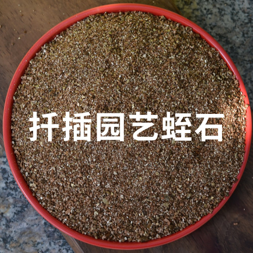 花百事蛭石扦插用月季三角梅绿植