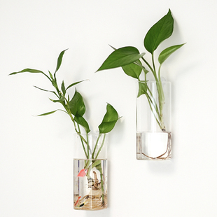 壁挂水培花瓶绿植绿萝富贵竹龟背竹红掌吊兰竹子一帆风顺玻璃花瓶