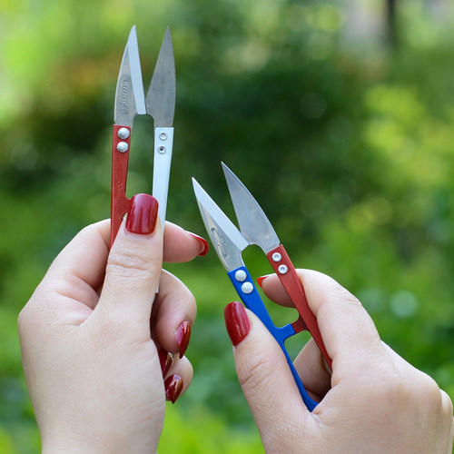 多肉修根工具多肉种植工具