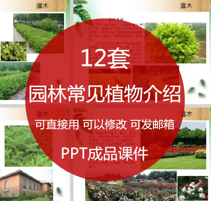 园林绿化常见用植物介绍ppt课件 绿化树木灌木乔木类