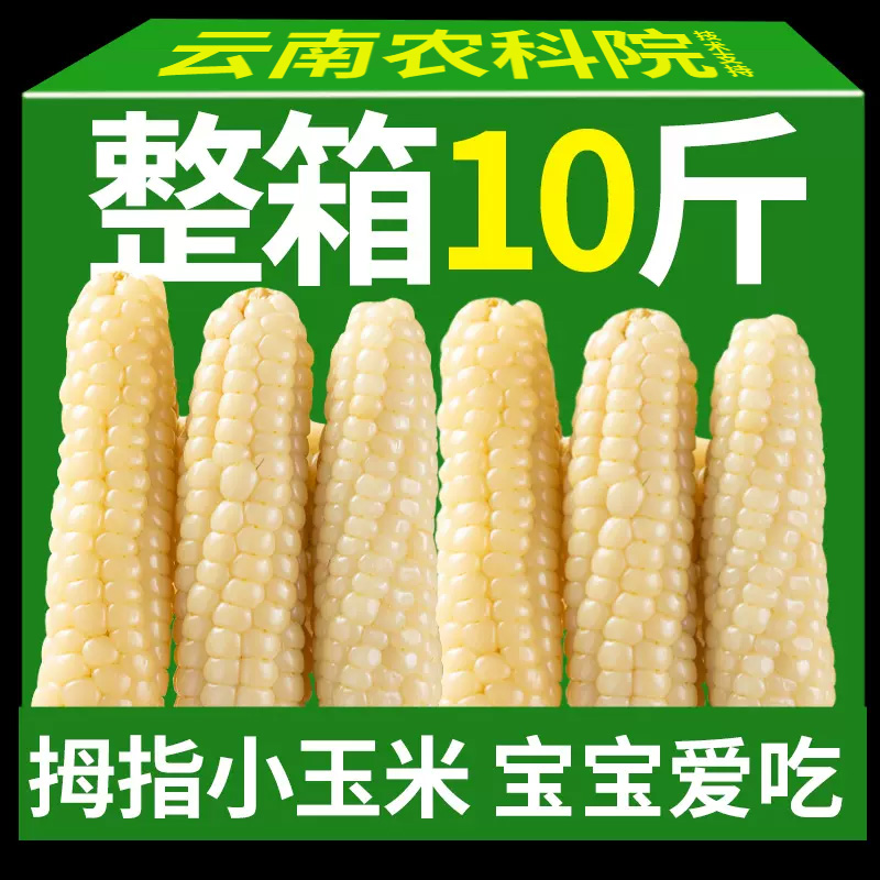拇指玉米香甜软糯早餐辅食