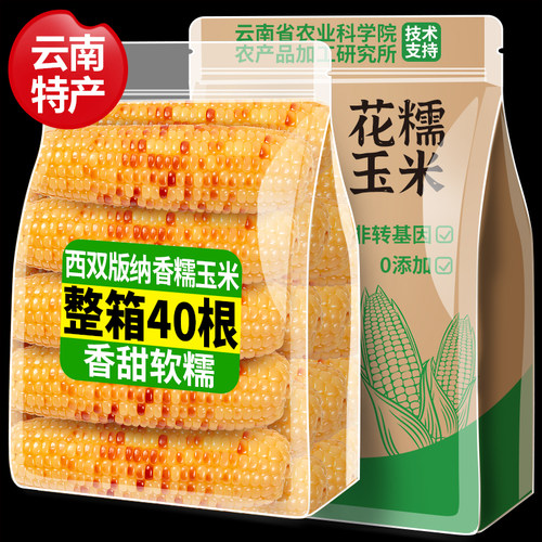 10斤云南西双版纳香糯小玉米新鲜真空包装开袋即食早餐代餐玉米棒