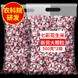 500g*2袋七彩花生米新货云南特产2024年去壳七彩花生普洱孟连种植