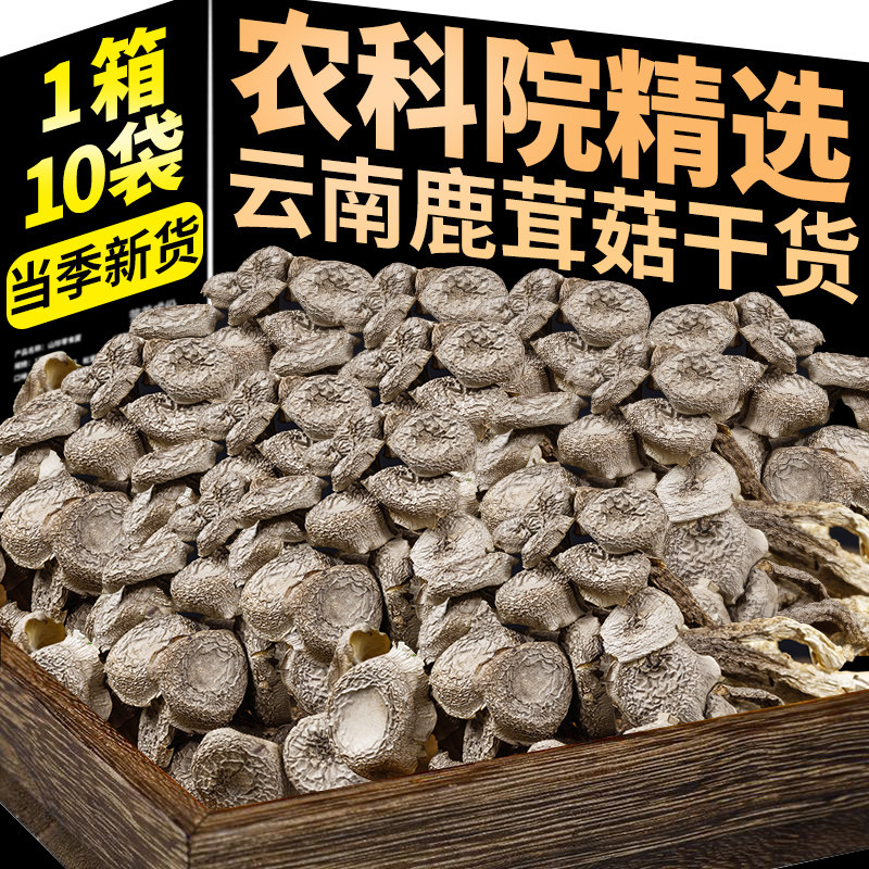 云南鹿茸菇干货农科院精品鹿茸菇干货无硫云南土特产菌汤包菌菇汤