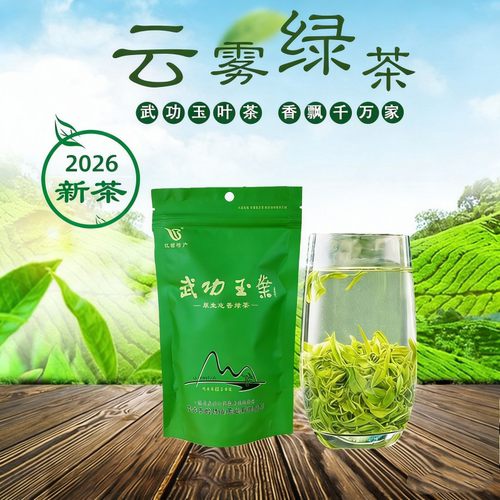 厂家直销云雾绿茶春茶武功山茶