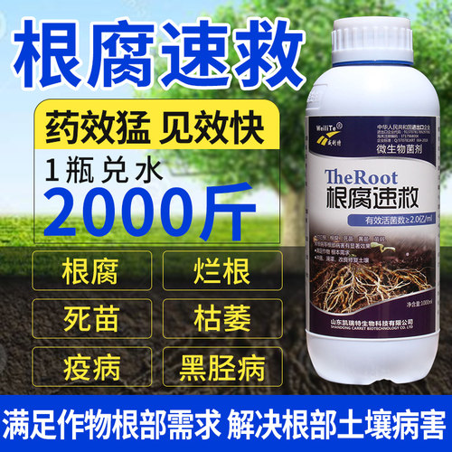 根腐病软腐病凯瑞特凯瑞特