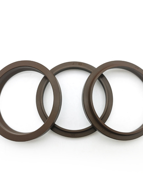 氟胶J型防尘160/170/175/180/190*178/188/195/198/208*9/14*7/i.