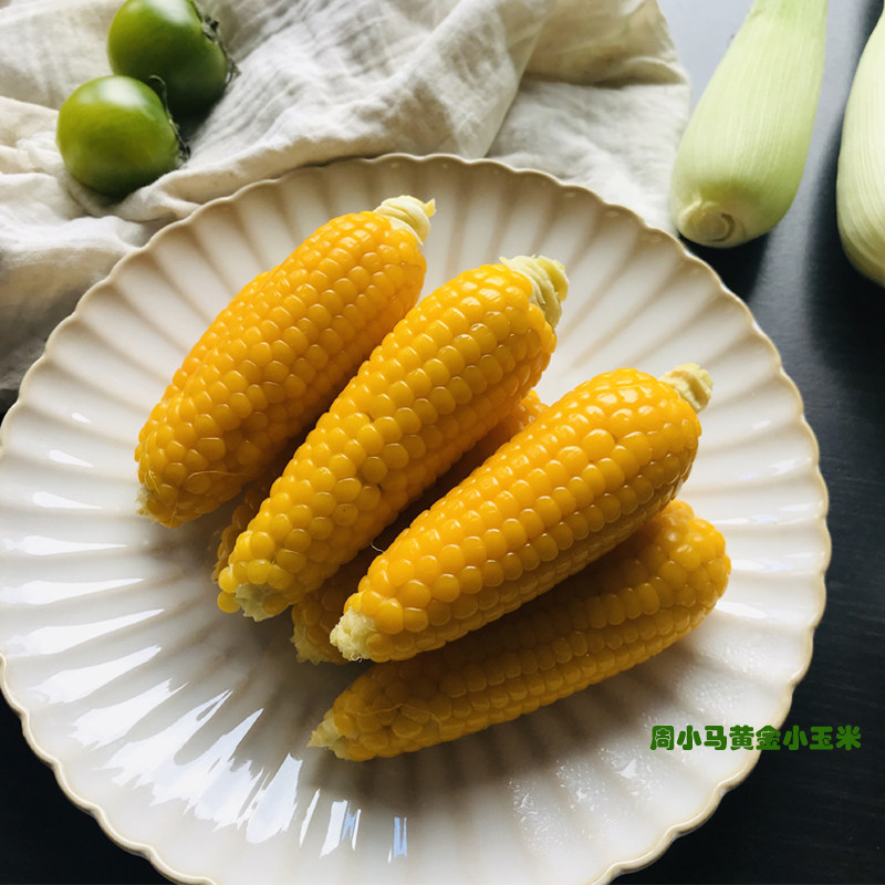 顺丰 常熟特产2023董浜黄金小玉米香糯玉米农家绿色种植现摘现发