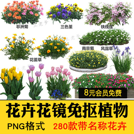 花卉植物procreate花镜 鲜花坛PS图PNG免抠高清带名称psd素材