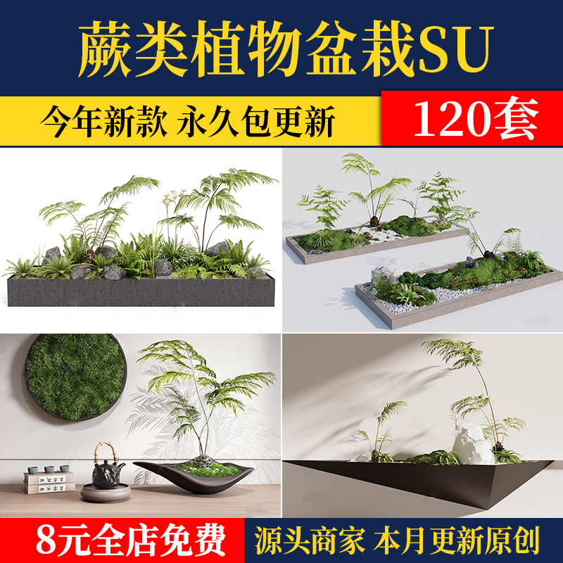 蕨类盆栽植物SU模型库景观庭院园林小品绿植组合sketchup草图素材