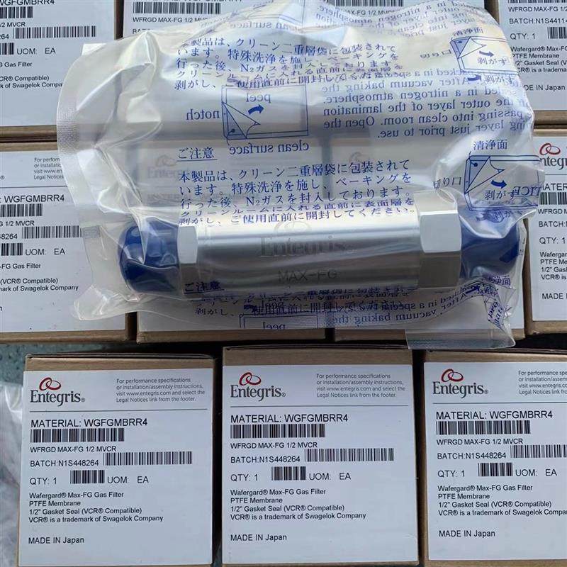 【议价】Entegris/英特格过滤器WG3NSMSL2现货Ente