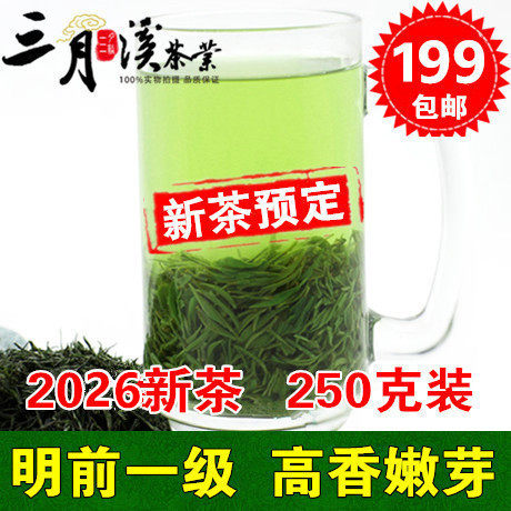 新茶预定2026新茶叶明前一级信阳毛尖绿茶散装春茶高栗香嫩芽250g
