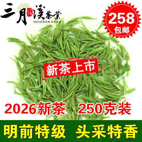 三月溪2026新茶叶信阳毛尖明前特级头采特香嫩芽散装绿茶250g预定 - 封面