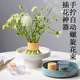 花瓶插花固定神器手工旋花筒鲜花花束打螺旋工具花盆花艺万能剑山
