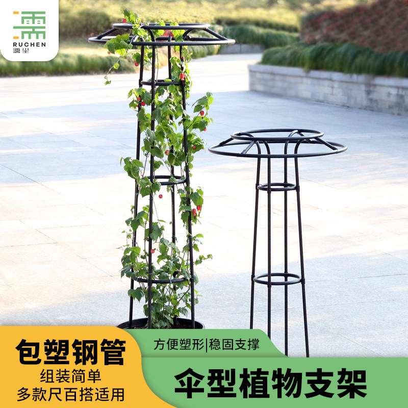 户外伞形爬藤架月季铁线莲玫瑰攀藤蔷薇花苗四季花架植物园艺支架